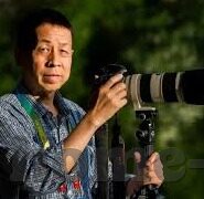 91av与麻豆出品在线-不凡之风采，91av与麻豆出品的在线领航