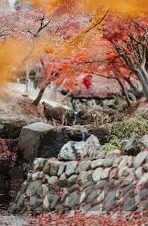 91免费麻豆-探索91免费麻豆的背后——网络世界的边缘与选择