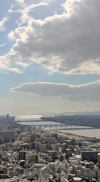 大象传媒-大象传媒，重塑数字时代传播的巨象力量