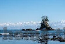 大象回家视频123-象行千里，归心似箭——记大象回家视频123的温情之旅