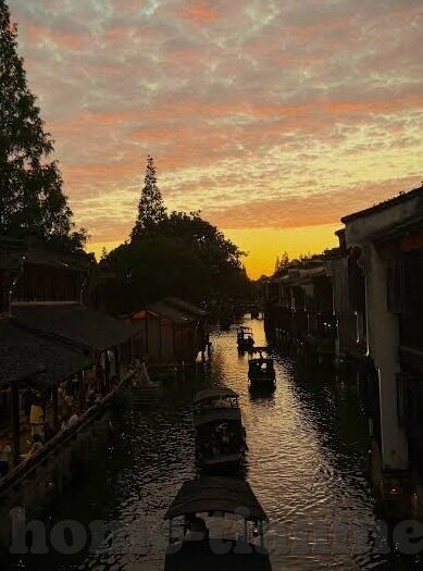 快猫回家视频麻豆在现-快猫回家之旅，麻豆的温馨再现
