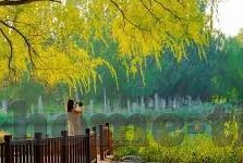 快喵成人短视频app-快喵成人短视频app，数字时代的成人娱乐新视角