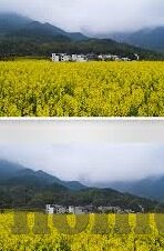 老师护士中文字幕在线-老师与护士，生命之舟的守护者