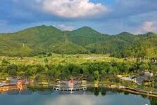 伦理动画片-伦理动画片，寓教于乐的道德启示录