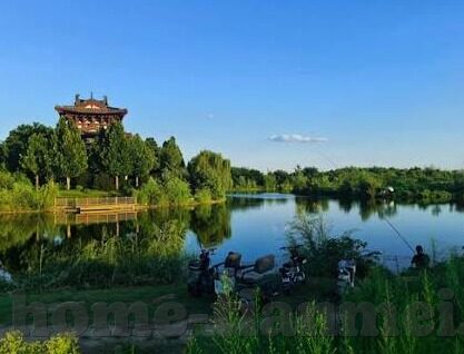 麻豆文化传媒精品网站-麻豆文化传媒精品，网络创意与文化交融的先锋案例