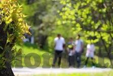 麻豆自制传媒入口-麻豆自制传媒，跨界融合下的网络文化新生态