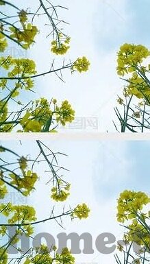 www.麻豆av在线-